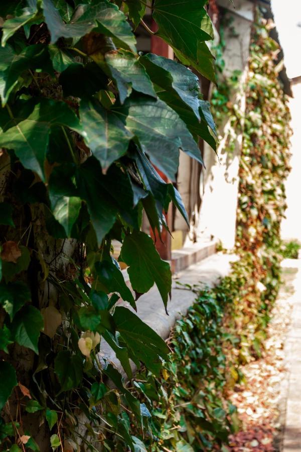 Town And Country Mpumalanga Hotel มิดเดิลเบิร์ก ภายนอก รูปภาพ