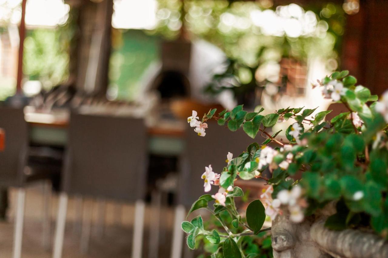 Town And Country Mpumalanga Hotel มิดเดิลเบิร์ก ภายนอก รูปภาพ